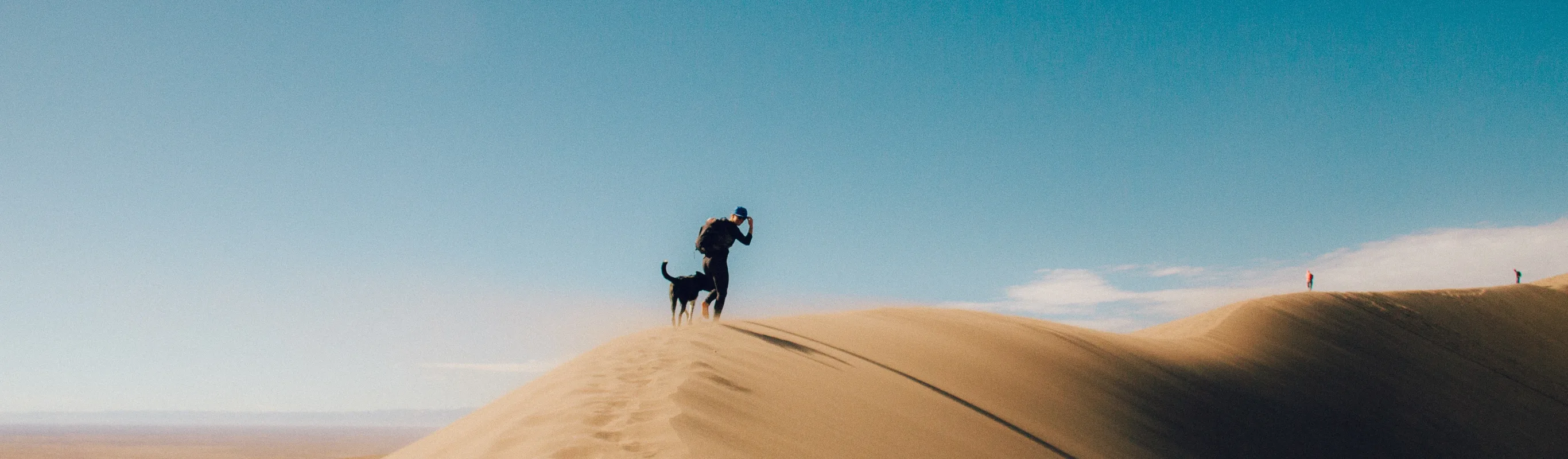 Man and dog on the sand dune